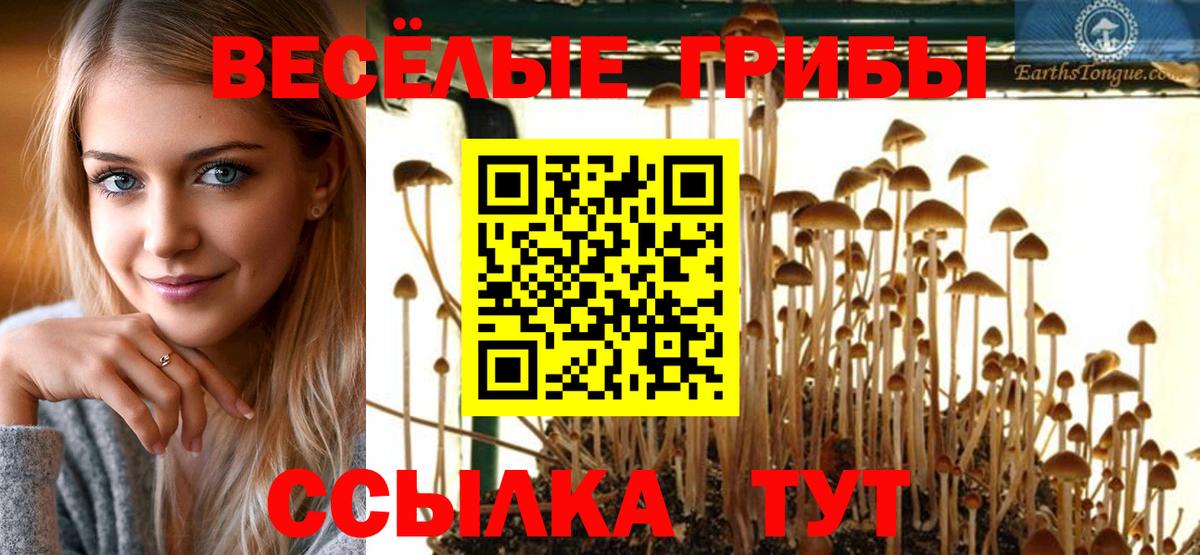 Псилоцибиновые грибы мухоморы  Вход с VPN  Шатура 